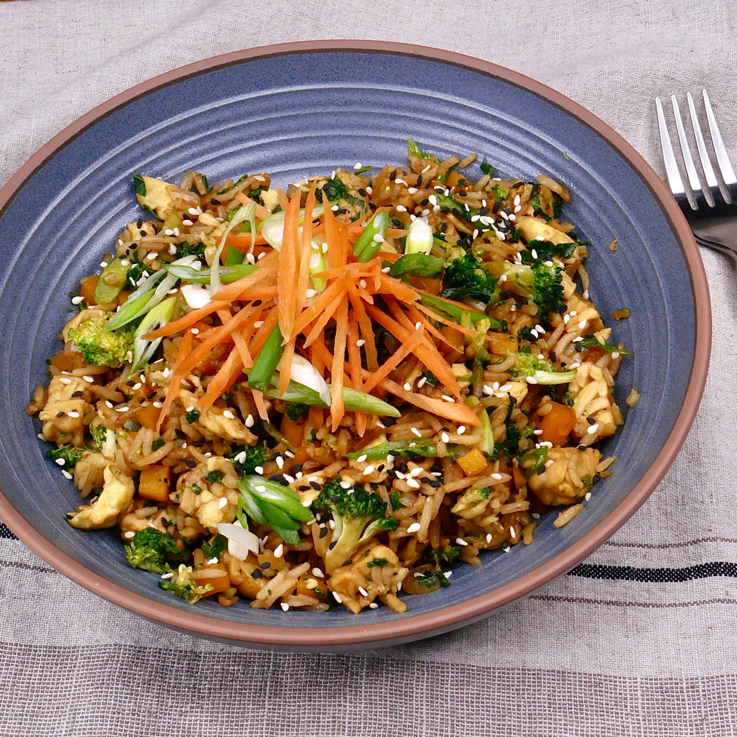 Riz Frit au Seitan