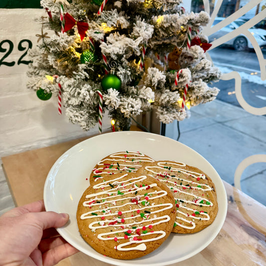 Boîte de Biscuits de Noël (3)