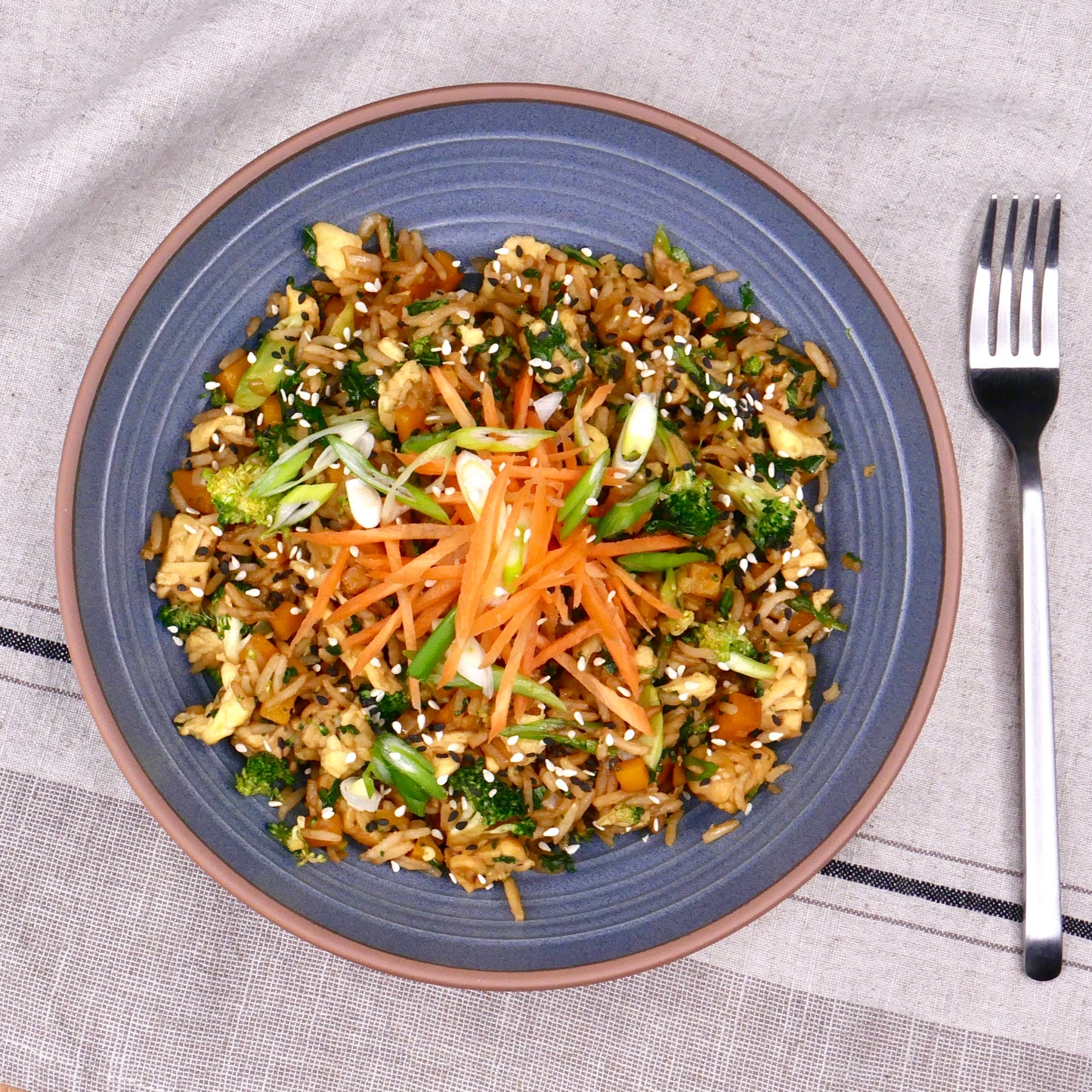 Riz Frit au Seitan